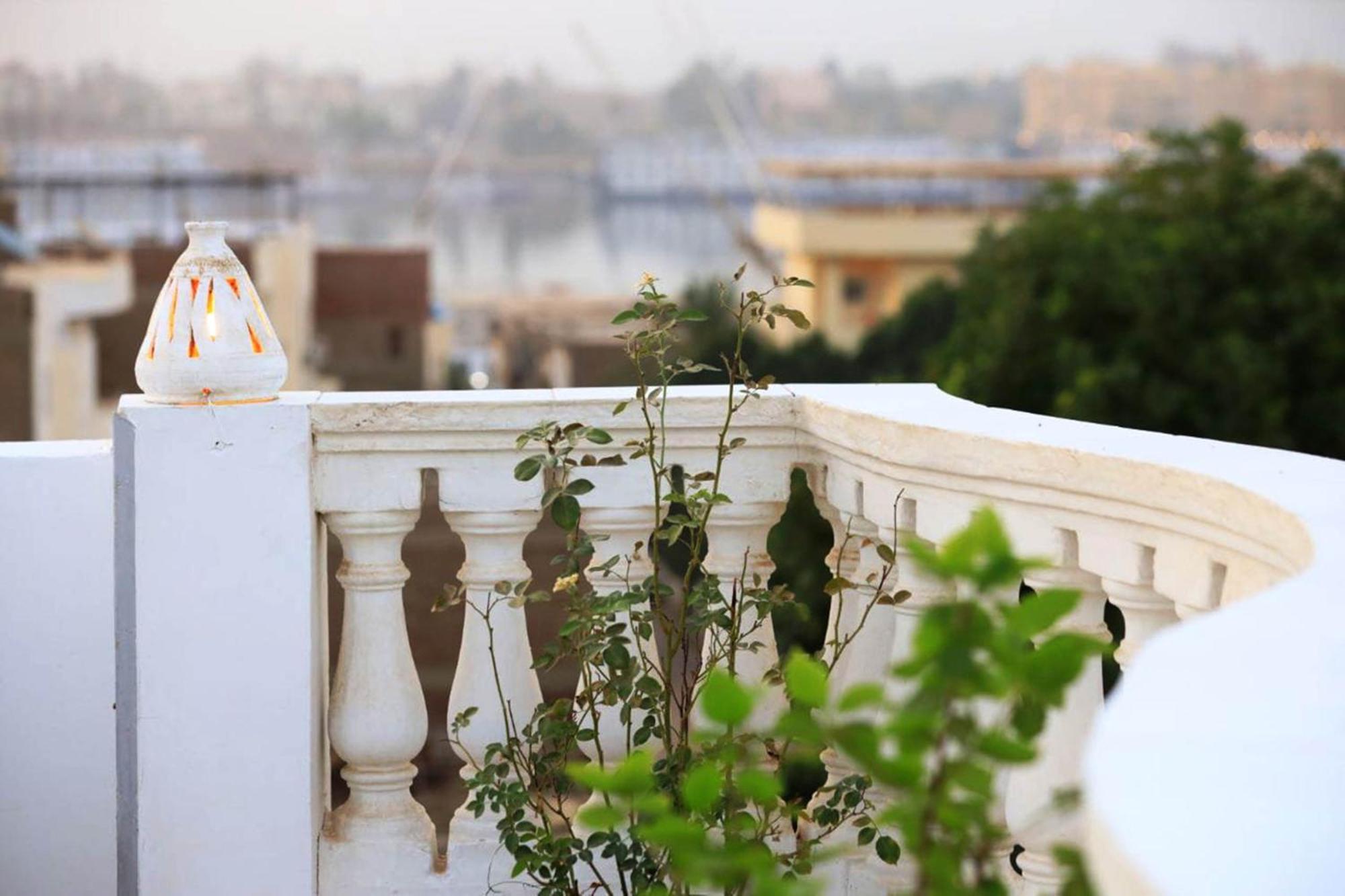 Gold Ibis Luxor